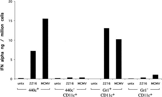 Figure 2. Comparison of IFN-α responses of 440c+, 440c-, CD11c+/Gr-1+/CD11b-, and CD11c+/Gr-1-/CD11b+/- splenocytes to in vitro stimulation with CpG and MCMV. 440c+, 440c-, Gr-1+/CD11b-, and Gr-1-/CD11b+/- were sorted from CD11c+-enriched splenocytes and stimulated in vitro with MCMV or CpG ODN 2216 for 24 hours. IFN-α was measured in culture supernatants by ELISA.