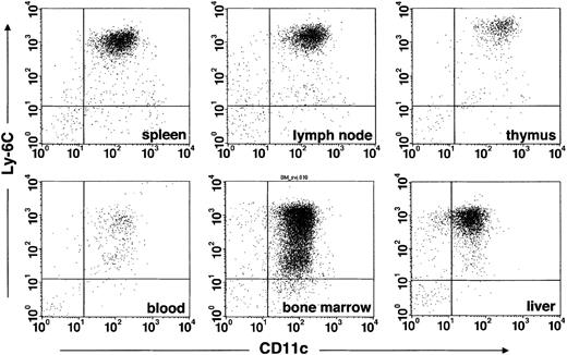 Figure 3. mAb 440c identifies IPCs in all immune organs and liver. Total cell populations from 129SvJ spleen, peripheral lymph nodes, thymus, bone marrow, blood, and liver were stained with 440c, Ly-6C, and CD11c. Plots represent gated 440c+ cells. Equal numbers of events were collected from spleen, thymus, lymph nodes, bone marrow, and liver.