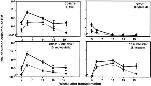 Figure 1. Enhancement of normal human hematopoiesis in transgenic NOD/SCID-β2m-/- mice producing human IL-3, GM-CSF, and SF. Each panel shows the time course of changes in the number of different types of human cells present in the BM of NOD/SCID-β2m-/--3/GM/SF (solid lines) and NOD/SCID-β2m-/- mice (dotted lines) from 3 to 20 weeks after being injected with 4 × 105 normal human lin- BM cells. Values are the mean ± SEM of results obtained from individually assessed mice (6 mice/group) and were calculated by multiplying the average proportion of cells with the phenotype shown within aspirated samples by the total number of cells present in the BM of similar mice determined from a large data set from other experiments.