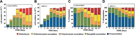 Figure 4. Caspase-3 siRNA alters erythroblast development. CD34+ progenitor cells were electroporated with control siRNA (A,C) or with siRNA-1 (B,D) at day 0 of culture. Cell numbers for each erythroblast population are shown in panels A and B, whereas percentage cell number for each culture is shown in panels C and D.