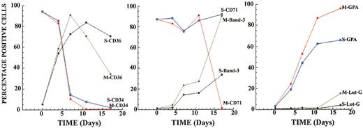 Figure 5. Caspase-3 siRNA disrupts the expression of erythroid cell surface markers. Cells were taken at various time points during the experiment described for Figure 4, and FACS analysis was performed. The 2 cell populations were defined: S for caspase-3 siRNA treated and M for control cells. The percentage of positive cells for each time point is shown.