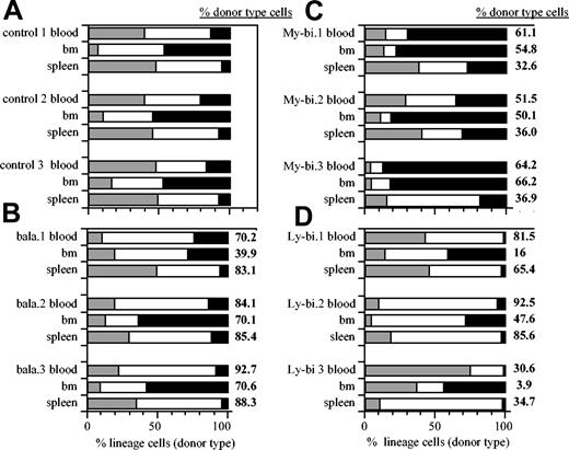 Figure 1. Lin-bi HSCs generate skewed lineage contribution in the hematopoietic organs. Shown are representative data of the percentage of donor-type T lymphocytes (▦), B lymphocytes (□), and myeloid cells (▪) in blood, BM, and spleen. Unmanipulated control mice (A). Host repopulated by individual balanced (B), My-bi (C), and Ly-bi (D) HSC clones. Data are from primary hosts 6 to 8 months after transplantation. Numbers at the right of each bar indicate the percentage of total donor-type cells in the corresponding organs.