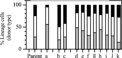 Figure 2. Lin-bi HSCs are part of the normal HSC compartment. Eleven individual hosts (a-k) received a graft of 106 BMCs from a host that 8 months earlier had received a graft of 105 BMCs. This donor mouse is designated “Parent” and shows the balanced lineage composition reproducibly found after a multiclonal graft.10 Transplantation increases the number of radioprotecting cells but reduces the repopulation capacity of BMCs by approximately 8-fold.39Therefore, each secondary host received on average 1.2 HSCs. Shown are the percentage of myeloid (▪) cells, B lymphocytes (□), and T lymphocytes (▦) in donor-type white blood cells in individual secondary hosts at the end of the experiment (parent: 8 months in primary host; a-k, 7 months in secondary hosts).