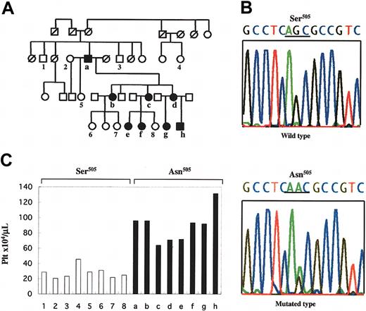 Figure 1. Results of study of family affected with FET. (A) Pedigree of FET. Members of the family, designated as `a' through `h' and `1' through `8', were examined clinically; solid symbols (a-h) indicate ET-affected members, and numbers 1-8 indicate unaffected members. Square symbols denote men; circles, women; and symbols with a slash, deceased members. This pedigree shows the autosomal-dominant inheritance of disease penetration. (B) Sequence of the Asn505 mutation of the c-MPL gene detected in ET-affected members of the family. Upper sequence indicates the wild type, and the lower sequence indicates the point mutation detected in the affected members. The nucleotide change from guanine to adenine caused an amino acid substitution from Ser505 to Asn505. (C) Platelet counts for the family members and the association with the status of the Asn505 mutation of the c-MPL gene. ▪ indicates platelet counts of the members carrying the Asn505 mutation of the c-MPL gene; □, platelet counts of the members with wild-type alleles of the homozygous Ser505, showing that the Asn505 mutation is unique in affected members; 1-8 and a-h correspond to the designations in panel A.