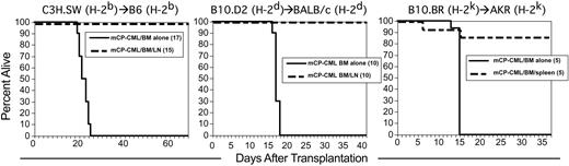 Figure 2. GVL in 3 different MHC-identical, miHA-disparate strain pairings. Transplantations were performed as described in “Materials and methods”; numbers of mice per group are in parentheses. Survival in C3H.SW (H-2b)→B6 (H-2b) (left panel; GVL mediated by LN cells), B10.D2 (H-2d)→BALB/c (H-2d) (middle panel; GVL mediated by LN cells), and B10.BR (H-2k)→AKR (H-2k) (right panel; GVL mediated by spleen cells).