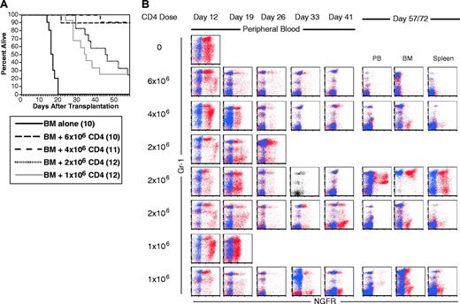 Figure 4. CD4 cells alone mediate GVL. B6 mice were irradiated and reconstituted with T-cell-depleted C3H.SW BM, B6 mCP-CML with 0, 106, 2 × 106, or 4 × 106 C3H.SW CD4+ T cells. (A) Survival. P < .0001 comparing BM alone versus 1 × 106 CD4 cells analyzed to day 43 after transplantation. (B) Serial flow cytometry of peripheral blood. Mice were bled and cells were stained as described in “Materials and methods.” As in Figure 3, staining with anti-NGFR is shown in red, and isotype for NGFR is shown in blue. Isotype staining was not done on the sample with a single-color dot plot. Each row is a single mouse. Three and 2 representative mice are shown for the 2 × 106 and 1 × 106 CD8 doses to capture the types of responses we saw. The middle 2 × 106 mouse nearly clears mCP-CML at day 41, but it returns by day 72 after transplantation. Note that mCP-CML develops prior to its elimination by donor CD4 cells.