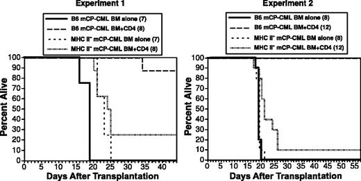 Figure 6. Cognate interactions are required for maximal CD4-mediated GVL. B6 mice were irradiated and reconstituted with T-cell-depleted C3H.SW BM, wild-type, or IAb-/- mCP-CML, with or without 6 × 106 C3H.SW CD4+ T cells. Survival was significantly reduced in recipients of IAb-/- mCP-CML and CD4 cells as compared with wt mCP-CML and CD4 cells. Each panel is an independent experiment. Experiment 1: IAb mCP-CML BM alone versus IAb mCP-CML BM/CD4, P < 0.11; wt mCP-CML BM/CD4 versus IAb-/- mCP-CML BM/CD4, P < .0001. Experiment 2: IAb mCP-CML BM alone versus IAb mCP-CML BM/CD4, P < .02; wt mCP-CML BM/CD4 versus IAb-/- mCP-CML BM/CD4, P < .0001.