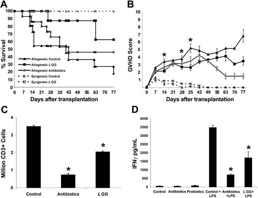 Figure 1. Survival, GVHD, and cytokines. (A-B) Survival (A) and GVHD scoring (B) after experimental allogeneic bone marrow transplantation. Animals received transplants after 2 × 600 cGy total body irradiation and were scored for GVHD as described.1,2 Animals received autoclaved water containing probiotic lactobacteria (L rhamnosus GG) or autoclaved water alone. Animals receiving probiotics displayed reduced mortality during the early phase after transplantation and thereafter (12 to 14 animals per group, P < .01). At the same time, GVHD was significantly reduced in animals receiving L rhamnosus GG after transplantation (*P < .02, control versus L rhamnosus GG). (C) Total numbers of CD3+ spleen cells were also significantly reduced in mice receiving L rhamnosus GG (*P < .02 compared with control treated mice, Mann-Whitney test). (D) Cytokine release by splenic cells at day 13 after allogeneic bone marrow transplantation. Cells from 4 individual mice were plated at 200 000 cells per well. Some cells were stimulated with 100 ng LPS per milliliter. Culture supernatants were harvested after 24 hours of culture and immediately analyzed for cytokines. Upon LPS stimulation, splenic cells from animals treated with L rhamnosus GG displayed a lower release of IFN-γ (*P = .02, control plus LPS versus L rhamnosus GG plus LPS, and antibiotics plus LPS versus control plus LPS).