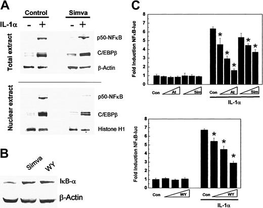 Figure 5. Statin treatment inhibits NFκB activity. (A) HuH7 cells were preincubated with 3 μM simvastatin (Simva) for 24 hours and subsequently were stimulated with 10 ng/mL IL-1α for 18 hours. Western blot analysis of total cellular and nuclear extracts for p50-NFκB and C/EBPβ expression. (B) HuH7 cells were incubated with simvastatin or Wy 14643 (WY) for 24 hours and analyzed for IκBα expression in total cell extracts. Control β-actin and histone H1 expression levels confirm equal loading. (C) HuH7 cells were incubated with Wy 14643 (10 μM, 30 μM, 100 μM), atorvastatin (1 μM, 3 μM, 10 μM), simvastatin (1 μM, 3 μM, 10 μM), transiently transfected with p3xNFκB-luc, and subsequently were stimulated with 10 ng/mL IL-1α for 18 hours. Data represent means ± SD. *P < .05 compared with control.