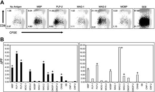 Figure 1. CNS-specific CD4+ and CD8+ T-cell responses in a patient with MS. CFSE-based proliferation assays were performed on PBMC specimens from 8 healthy individuals and 43 untreated patients with MS (RRMS, n = 17; PPMS, n = 20; SPMS, n = 6). (A) Selected responses from a patient with MS in the presence (or absence) of indicated antigenic peptide pools. These data represent gated CD3+ T cells that are further gated for CD4+/CD8- or CD8+/CD4- T cells. CFSE staining is shown on the x-axis and CD8 staining on the y-axis. The CD8- populations in the dot plots represent gated CD4+ T cells. The gray populations to the right represent nondividing cells. The numbers next to the darker populations represent the proliferating fraction of CD4+ T cells (black) and CD8+ T cells (dark gray) (ie, the proportion of gated CD4+ T cells or CD8+ T cells that were proliferating on day of analysis). Values for background proliferation are calculated from the “No Antigen” tubes. Δ proliferating fraction (ΔPF) is the difference between specific proliferation and the background, whereas the stimulation index (SI) is the ratio of specific proliferation to the background. A response with a ΔPF of at least 1.00% and an SI of at least 2.0 was considered positive. (B) CD4+ (left) and CD8+ (right) T-cell responses of the same patient to all the indicated antigens, plotted as ΔPF (background subtracted). The positive responses are indicated with a “+” sign.