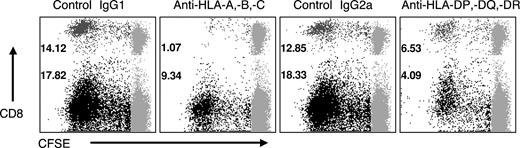 Figure 3. Autoreactive CD4+ and CD8+ T-cell responses are HLA restricted. CFSE-based proliferation assays were performed on PBMC specimens from untreated patients with MS in the presence of anti-HLA antibodies or appropriate control immunoglobulin. The dot plots demonstrate CD4+ and CD8+ MOG-specific proliferative responses from one of the patients in the presence of the indicated antibodies. The 2 left panels demonstrate the effect of HLA class I blockade (compared with the IgG1 control), whereas the 2 right panels demonstrate the effect of HLA class II blockade (compared with IgG2a control). CFSE staining is shown on the x-axis and CD8 staining on the y-axis. The numbers represent the proliferating fraction of CD4+ (black) and CD8+ (dark gray) T cells. Anti-class I antibodies predominantly blocked CD8+ T-cell proliferation but also diminished CD4+ proliferation. Anti-class II antibodies had a predominant effect on CD4+ T-cell proliferation but also diminished CD8+ proliferation. These results are representative of HLA blockade data from 35 distinct CD4+ and CD8+ proliferative responses from 13 patients with MS responding to several different neuroantigenic peptide pools (MBP, PLP, MOG, MAG, OMGP, and MOBP).