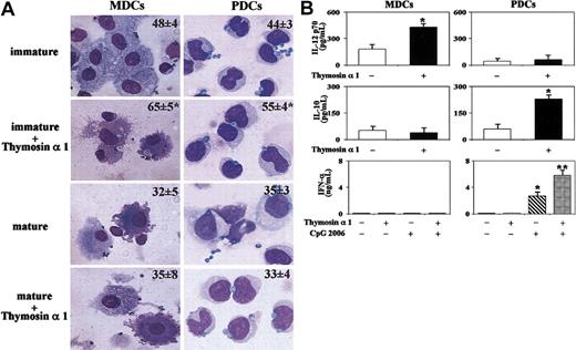 Figure 2. Thymosin α 1 activates human DCs on exposure to A fumigatus MDCs and PDCs were obtained from blood mononuclear cells. For phagocytosis (A), see legend to Figure 1. The data are the means ± SEs of 3 independent experiments and expressed as the percentage of internalization (numbers within figures). *P < .05, thymosin-exposed versus unexposed cells. Cells were stained with Diff-Quik stain (Carlo Erba Reagents, Milan, Italy). Original magnification, ×100. (B) Cytokines were determined in 24-hour culture supernatants of DCs stimulated (+) or not (-) with thymosin α 1 in the presence of conidia or CpG 2006 (3 μg/mL). Bars indicate the standard errors. *P < .05, cytokine production in thymosin-exposed versus unexposed cells. **P < .05, thymosin + CpG versus CpG alone.