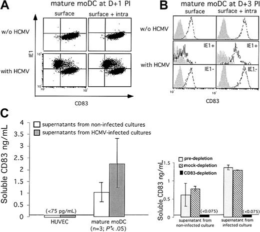 Figure 6. Mature moDCs infected with HCMV decrease membrane expression of CD83 and release increased amounts of soluble CD83 into the supernatant. CD83 rapidly disappears from the surface of IE1-positive mature moDCs but is still expressed intracellularly on (A) day +1 or (B) day +3 after infection (shaded histograms, isotype controls; open histograms, anti-CD83). Positive controls for surface CD83 expression comprise the non-HCMV-exposed moDCs as well as the bystander, uninfected and thus IE1-negative moDCs in the HCMV-exposed cultures. (C) ELISAs detected soluble CD83 in the supernatants of infected and uninfected mature moDC cultures (n = 3; mean ± SD), each assessed in triplicate. Infected mature moDC cultures released significantly more soluble CD83 than uninfected control cultures (*P < .05; Student t test). HCMV-infected and uninfected HUVECs, which never express CD83, provided the negative controls (left). Soluble CD83 could not be detected after CD83 immunodepletion (right).