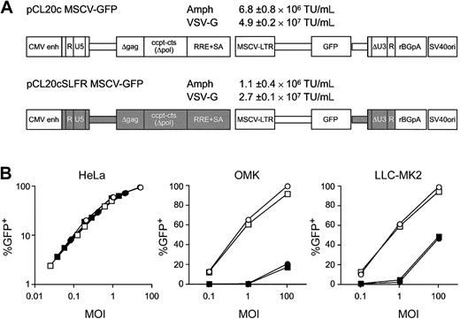 Figure 1. Transduction of human and monkey cells with HIV-1–based or SIV-based lentiviral vectors. (A) Diagrams of the HIV-1–(pCL20c MSCV-GFP) or SIV-based (pCL20cSLFR MSCV-GFP) transfer vectors. Sequences from the SIVmac1A11 genome are indicated as solid boxes. Residual nef coding sequences upstream of a KpnI site (accession no. KO3455, nucleotide 9015) were removed from an earlier version of the HIV-1–based vector, pCL10.1 MSCVcGFP, to generate the vector designated pCL20c MSCV-GFP. The SIV-based transfer vector was constructed by replacing each element of the HIV-based vector with a corresponding fragment from the SIVmac1A11 genome; the fragment sizes of each element differ slightly. Helper plasmids encoding SIV-gag/pol or the SIV-rev/tat proteins were developed using the pCAGGS expression plasmid system as described for the HIV-1–based system, SJ1.6 The titers of amphotropic or VSV-G pseudotyped HIV-1 or SIV vectors are indicated as the means and standard errors of the means for 3 to 5 separate preparations. (B) Relative transduction of human (HeLa, left) cells, owl monkey kidney (OMK, middle), or rhesus monkey kidney (LLC-MK2, right) cells at various multiplicities of infection (MOIs). The experiments were performed in duplicate, and the averages are plotted. The vector/envelope for each titration was as follows: HIV-1/amphotropic (▪), HIV-1/VSV-G (•), SIV/amphotropic (□), or SIV/VSV-G (○).