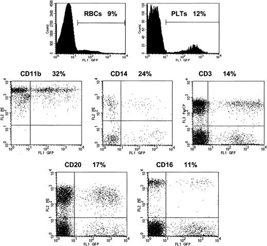 Figure 4. Multilineage reconstitution with genetically modified cells. The percentage of GFP-positive cells in immunophenotypically defined cell populations was determined by FACS. The top row shows the profiles of red cells (RBCs) and platelets (PLTs) as defined by forward and side scatter. The percentages of GFP-positive granulocytes (CD11b), monocytes (CD14), T lymphocytes (CD3), B lymphocytes (CD20), and natural killer cells (CD16) are shown in the other panels for animal CJ5B on day 198 following infusion of autologous, transduced CD34+ cells.