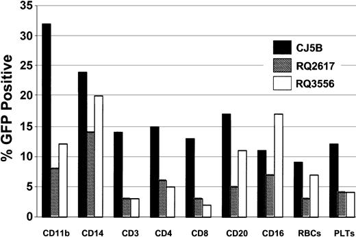 Figure 5. Summary of the percentages of GFP-positive cells in various lineages following reconstitution. Animal CJ5B was studied on day 198, RQ2617 on day 170, and animal RQ3556 on day 121 following infusion of autologous, transduced CD34+ cells. Peripheral blood cells were processed and characterized by FACS using standard techniques. Antibody specificities are as follows: CD11b, granulocytes; CD14, monocytes; CD3, T lymphocytes; CD4, helper T lymphocytes; CD8, suppressor T lymphocytes; CD20, B lymphocytes; and CD16, natural killer cells.