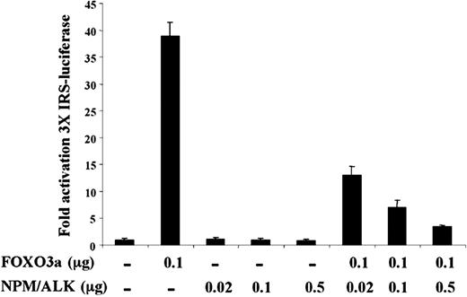 Figure 4. NPM-ALK inhibits 3X IRS promoter activation by FOXO3a. U-2OS cells were transfected with the 3 × IRS reporter plasmid and pCMV-Renilla along with either 0.02, 0.1, or 0.5 μg pcDNA-NPM-ALK in the presence or absence of 0.1 μg pcDNA-FOXO3a. Cell lysates were prepared, and luciferase activity was measured and normalized to Renilla luciferase activity. Results shown are representative of 3 independent experiments, ± SD.