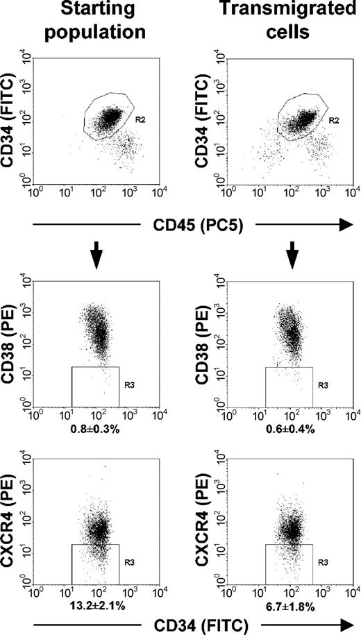 Figure 3. Phenotypic analysis of transmigrating cells compared with the untreated starting cell population before migration. Flow cytometric analysis of Lin- progenitors (CD34+ cells, gated = R2) migrating in response to SDF-1 (MS-5 conditioned medium) after preincubation with 100 nM FTY720 showed a similar percentage of CD34+/CD38- cells (gate R3, middle panels), only the proportion of CD34+/CXCR4- cells (gate R3, lower panels) was lower compared with the starting population, demonstrating the migratory capabilities of more immature progenitors in the employed in vitro assay and additionally underlining the CXCR4 dependency of the transmigration process, as already observed in the blocking experiments shown in Figure 2B. Transmigrating cells, right panels; untreated cell population before migration, left panels.