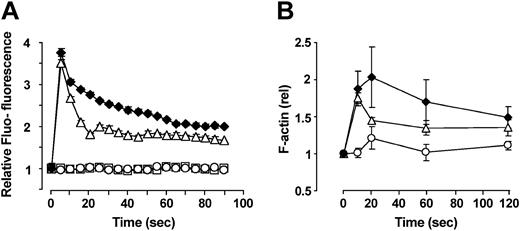 Figure 5. SDF-1-triggered calcium mobilization and actin-polymerization are up-regulated by FTY720. (A) Effect of FTY720 on SDF-1-excited calcium mobilization. Isolated PB CD34+ cells were loaded with the fluorescent dye Fluo-3 in the presence or absence of 100 nM FTY720 as indicated. After stimulation with 100 ng/mL SDF-1, the FL-1 fluorescence was analyzed in 5-second acquisition intervals by flow cytometry. Preincubation of cells with FTY720 lead to a transient increase in the amount of intracellular free Ca2+, with the maximum effect of FTY720 on SDF-1-induced calcium mobilization being observed 20 seconds after stimulation with the chemokine. ♦: FTY720 plus SDF-1; ▵: SDF-1 alone; □: FTY720 alone; ○: Control (carrier). Data represent the mean ± SEM of 4 independent experiments. (B) Effect of FTY720 on SDF-1-induced formation of filamentous actin. Isolated PB CD34+ progenitor cells were preincubated or not for 90 minutes with 100 nM FTY720 and subsequently stimulated with 10 ng/mL SDF-1 or carrier (PBS/1% BSA). Formation of filamentous actin was analyzed flow cytometrically by fixation of cells at the indicated time points following permeabilization and staining with FITC-conjugated phalloidin as described in “Materials and methods.” Preincubation of cells with FTY720 had a sustained stabilizing effect on the cytoskeleton. As observed in the calcium mobilization experiments, the effect of FTY720 was highest at the 20-second time point. Data represent the mean ± SEM of 3 independent experiments. ♦: FTY720 plus SDF-1; ▵: SDF-1 alone; ○: FTY720 plus PBS/BSA.