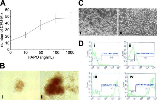 Figure 2. Biologic activity of HAPO in vitro in a human system. (A) Effect of various concentrations of rhHAPO on the growth of CFU-Mix. Human fetal marrow nonadherent cells were cultured at 1 × 105/35-mm dish in methylcellulose containing growth medium with a cocktail of cytokines as described in Table 1, with or without the indicated concentrations of rhHAPO for 14 days. All cultures were performed in quadruplicate and scored with the use of an inverted microscope. Data represent mean ± SD. (B) Morphology of CFU-Mix colony in semisolid culture. The colonies stimulated by HAPO plus CC (ii) were bigger in size than those stimulated with HAPO alone (i). Original magnification × 40. (C) Morphology of human fetal bone marrow MNCs cultured in a liquid system with or without rhHAPO (100 ng/mL). Human fetal bone marrow cells were cultured without rhHAPO (i) and with rhHAPO (ii) for 4 weeks. Original magnification × 200 (D) Effect of rhHAPO on human fetal bone marrow CD34+ cells in liquid culture. Fluorescence-activated cell sorter (FACS) analysis shows an increase of the percentage of CD34+ and CD45+ cells in the presence of rhHAPO.