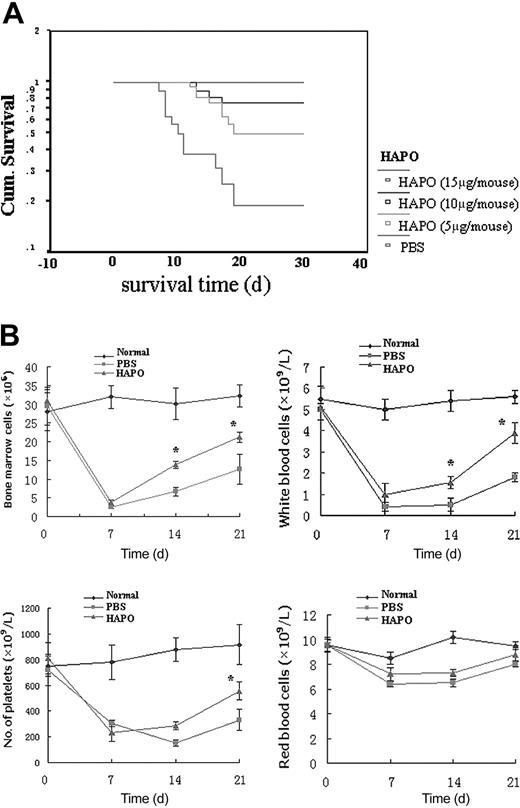 Figure 7. Effect of HAPO on the survival rate of irradiated mice. (A) Survival curves of BALB/c mice after irradiation with 6.0 Gy (93% lethal dose). The 16 mice in each group received a daily subcutaneous injection of rhHAPO at doses of 5 μg, 10 μg, or 15μg for 14 days. The control mice received the same volume of PBS injected according to the same schedule. The irradiated mice started to die after 6 days. The administration of rhHAPO increased the survival rate in a dose-dependent manner, with 100% protection at a dose of 15 μg/d. (B) Quantitative changes of bone marrow and peripheral blood cells of the mice after irradiation. The 16 mice in each group received a daily subcutaneous injection of rhHAPO (10 μg) or PBS. At each time point, 3 mice in each group were randomly sampled and were subjected to examination for the content of the bone marrow CD34+ cells from the murine femurs (i) and the quantitative changes in the number of white blood cells (ii), platelets (iii), and red blood cells (iv) in the blood of the mice after irradiation. Data are represented as the mean ± SD. *P < .05 versus control.