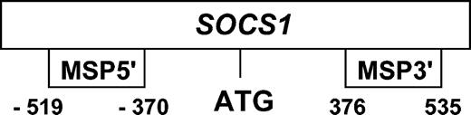 Figure 1. Schematic diagram of the location of the 2 sets of MSP primers (MSP5′ and MSP3′) for SOCS1 in relation to the translation start site.
