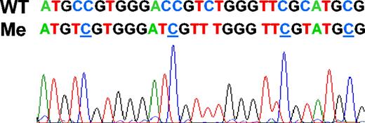 Figure 3. DNA sequencing of SHP1 in bisulfite-converted methylated positive control DNA.