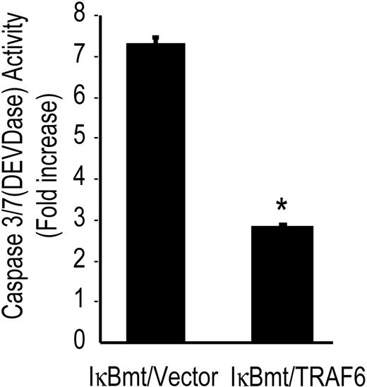 Figure 4. TRAF6 inhibits LPS-induced caspase activation independently of NF-κB activation. Double-transduced endothelial cells (as labeled) were treated with LPS (100 ng/mL) and CHX (50 μg/mL) for 8 hours and assayed for DEVD-pNA cleavage activity. Results are reported as fold increase over CHX-only-treated cells. Results shown are the mean plus or minus SEM of 3 independent experiments, each done in duplicate. *P < .01.