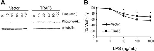 Figure 10. TRAF6 inhibits LPS-induced apoptosis in primary endothelial cells. BAECs were transduced with TRAF6 or empty vector. (A) Cells were stimulated with LPS for various times as indicated and activation of Akt was determined by immunoblotting for phospho-Akt. Membranes were stripped and reprobed for α-tubulin as a loading control. (B) Transduced BAECs were treated with LPS at various concentrations for 16 hours. Cell survival was measured by neutral red incorporation and normalized to cells treated with vehicle alone. Data shown are the mean plus or minus standard deviation (SD) of 4 independent experiments, each done in triplicate. *P < .05.