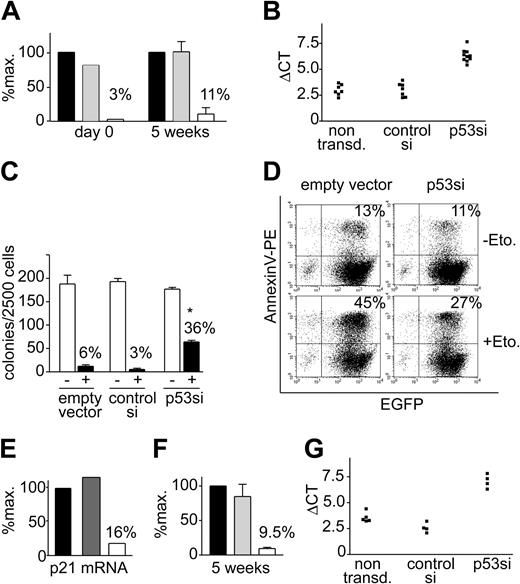 Figure 2. Gene silencing by lentiviral delivery of p53 siRNA. (A) Reduction of p53 mRNA expression by siRNA. CD34+ cells were infected and sorted for EGFP-positive cells. Expression of p53 mRNA was assessed by quantitative RT-PCR at the day of sorting (left panel) and after 5 weeks of liquid culture (right panel). The value for the control cells infected with pWPXL virus (▪) was set as 100% and compared with cells infected with the pWPXL-control-si virus (▦) and the pWPXL-p53si virus (□). Error bars indicate the SEM when triplicate measurements were done. (B) Sorted CD34+/GFP+ cells were cultured in methylcellulose and single colonies were picked after 14 days for detection of p53 mRNA. Note that ΔCT (cycles threshold) represents a binary logarithmic scale and higher numbers correspond to lower levels of p53 expression. Each dot represents the result obtained from one single colony. transd. indicates transduced. (C) Effects of etoposide on CFU-C formation. Sorted CD34+/EGFP+ cells were grown in methylcellulose in the presence (+) or absence (-) of etoposide (25 nM). Error bars indicate SEM of triplicate cultures. * indicates a statistically significant difference (P < .01). (D) Measurement of etoposide-induced apoptosis by flow cytometry. CD34+ cells infected with pWPXL-p53si or the empty vector were sorted for EGFP expression by FACS and cultured for 4 days in liquid culture. After exposure to 20 μM etoposide (Eto) for 6 hours, apoptosis was measured by staining with PE-coupled annexin V. The percentages of Annexin V/EGFP-double-positive cells are given. (E) p53 target gene expression in silenced versus control cells. p21 mRNA levels were determined by real-time PCR in sorted EGFP-positive cells after 10 days in liquid culture. Annotation as in panel A. (F) Silencing of p53 expression in sorted CD34+/GFP+ cells after 5 weeks of LTC-IC stroma-cell culture. Annotation as in panel A. (G) Silencing of p53 expression in LTC-IC-derived colonies. Annotation as in panel B.
