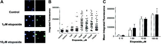 Figure 4. Tardis assay of cleavable complex levels. Cells were treated with etoposide in the presence or absence of 10 μM NU7026 for 24 hours. Original magnification × 10. (A) Immunofluorescent micrographs of control cells and cells treated with 1 and 10 μM etoposide. The blue stain indicates DNA; green stain, topo IIα cleavable complexes. (B) Scattergram. (C) Averaged data from scattergram (topo IIα-specific antisera). □ indicates etoposide alone; and ▪, etoposide + NU7026. Results are means of 3 experiments ± SE.