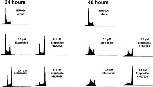 Figure 5. Flow cytometric analysis of cell cycle distribution. Cells were treated with 0.1 or 0.4 μM etoposide in the presence or absence of NU7026 (10 μM) for 24 or 48 hours before harvesting and preparing for flow cytometric analysis.