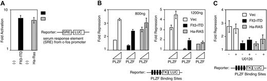 Figure 1. Flt3-ITD inhibits the repressional activity of PLZF. (A) Flt3-ITD up-regulates SRE-LUC reporter. An expression vector for the Flt3-ITD or activated Ha-Ras (800 ng) were cotransfected into 293T cells along with as SRE-LUC reporter (100 ng). The fold induction of transcription was calculated by dividing the luciferase activity, normalized to the internal control renilla plasmid obtained in the presence of the signaling molecules, by the activity obtained from the reporter gene when coexpressed with empty expression vector. The data presented are mean values (± standard deviation) from 4 to 8 independent experiments. (B) PLZF repression is inhibited by the overexpression of Flt3-ITD. The 293T cells were transfected with 100 ng of reporter plasmid; 0, 20, or 200 ng of PLZF expression vector; 800 ng (left) or 1200 ng (right) of Flt3-ITD or Ha-Ras effector plasmids as indicated; and 5 ng of pRL-renilla as an internal control. The fold repression of the reporter gene was calculated from the normalized luciferase activity obtained in the presence of PLZF amount compared with activity obtained in the presence of empty expression vector. The data presented are mean values (± standard deviation) from 4 to 8 independent experiments. (C) Partial restoration of PLZF inhibition by MAPK inhibitor U0126. Experiment performed similar to panel B: 24 hours after transfection, U0126 was added at final concentration at 10 μM in indicated cells and cells were harvested at 48 hours after transfection. The data presented are mean values (± standard deviation) from 4 to 8 independent experiments.