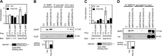 Figure 2. Flt3-ITD inhibits the interaction between SMRT and transcriptional repressors. (A) SMRT and PLZF mammalian 2-hybrid interaction is inhibited by Flt3-ITD overexpression. Fold activation was determined by comparing normalized luciferase activity obtained when the Gal4-TK-LUC reporter gene was transfected with Gal4-1-147 alone compared with the activity obtained when Gal4-PLZF and VP16-SMRT were coexpressed. The data are the mean (± standard deviation) of 8 independent experiments. (B) Coimmunoprecipitation interaction between PLZF and SMRT is inhibited by Flt3-ITD. Cells were transfected with full-length PLZF and SMRT expression plasmids in the presence (Flt3-ITD) or absence (vec) of Flt3-ITD expression plasmid. SMRT was precipitated by polyclonal goat anti-SMRT antibody (Santa Cruz Biotechnology; N-20) and the resulting fraction was immunoblotted by PLZF. Intensity of each band was quantified by NIH image 1.60 software. To measure the effect of Flt3-ITD, relative density was obtained from the density of the PLZF band in Flt3-ITD-transfected cells divided by that from vector-transfected cells. (C) Flt3-ITD overexpression inhibits the mammalian 2-hybrid interaction between SMRT and ETO. Experiment performed similar to panel A. Gal4-1-147 fused to full-length ETO plasmid was used as a 2-hybrid bait. The data are the mean (± standard deviation) of 8 independent experiments. (D) Flt3-ITD inhibits interaction between ETO and SMRT. Experiment performed similar to panel B. Full-length HA-tagged ETO and SMRT expression plasmids were transfected into 293T cells in the presence or absence of Flt3-ITD. SMRT was precipitated and the Western blot was performed by anti-HA antibody to detect ETO.