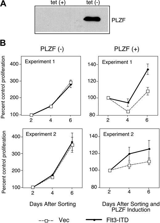 Figure 3. Flt3-ITD partially inhibits growth suppression by PLZF. (A) PLZF expression was confirmed in the absence of tetracycline (tet) in tet-off PLZF-inducible U937 cells by immunoblot. (B) Tet-off PLZF-inducible U937 cells were electroporated with the MSCV-GFP control plasmid (vec) or MSCV-Flt3-ITD-GFP (Flt3-ITD) plasmid. Three days after transfection, GFP-positive cells were sorted and plated in triplicate or quadruplicate. PLZF expression was induced in the indicated cells by tetracycline withdrawal. Cell proliferation as quantified by tetrazolium reduction was compared with a baseline of absorbance 2 days after PLZF induction. (Left) Cell growth in the absence of PLZF expression. (Right) Cell growth in the presence of PLZF expression. Two independent experiments are presented as mean values ± standard deviation.