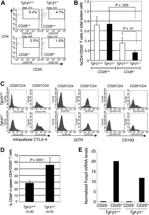 Figure 2. CD4+CD25+ regulatory T cells are present in Tgf-β1-/- mice but are reduced in number in Tgf-β1-/-/CD28-/- mice. (A) Percentages of CD4+CD25+ T cells in spleens are shown. Each histogram is representative of independent results from 8 mice with either the Tgf-β1+/+/CD28+/+ or the Tgf-β1-/-/CD28+/+ genotype, 6 Tgf-β1-/-/CD28-/- mice, and 4 Tgf-β1+/+/CD28-/- mice. (B) Percentages of CD4+CD25+ T cells in total spleen cells are shown (numbers of mice per genotype same as those described for panel A). P < .005 between Tgf-β1-/-/CD28+/+ and Tgf-β1-/-/CD28-/- genotypes using Student t test. (C) Expression of intracellular CTLA-4, GITR, αE integrin in CD4+CD25- T cells and CD4+CD25+ T cells of spleen from Tgf-β1+/+ mice and Tgf-β1-/- mice (1 representative plot shown; 3 mice evaluated for each genotype). (D) Percentages of CD69+ cells in the CD4+CD25+ T-cell subset of splenocytes from Tgf-β1+/+ mice and Tgf-β1-/- mice. (E) Foxp3 mRNA expression in CD4+CD25- T cells and CD4+CD25+ T cells of Tgf-β1+/+ mice and Tgf-β1-/- mice obtained by real-time PCR. Error bars (B,D) indicate SD.