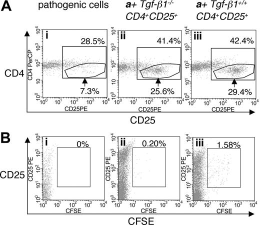 Figure 4. Cotransfer of CD4+CD25+ T cells into Rag2-/- recipient mice with CD25-depleted Tgf-β1-/- cells. (A) Expression of CD25 on CD4+CD3+ T cells isolated from Rag2-/- recipients of CD25-depleted Tgf-β1-/- cells (n = 4) with cotransfer of either Tgf-β1-/- CD4+CD25+ T cells (ii) or Tgf-β1+/+ CD4+CD25+ T cells (iii) (n = 3), or without cotransfer (i). (B) CFSE labeling of CD4+CD25+ T cells in the recipient mice described in panel A. Dot plots are shown for CD4+CD3+-gated populations, and are representative of the groups described above. Percentages over the inner box gate indicate total CD4+CD25+ T cells. Arrows indicate CD4+ T cells with high expression of CD25+. Percentages in panel B indicate percentage of CD4+CD25+ T cells positive for CFSE.