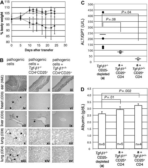 Figure 5. Tgf-β1-/- CD4+CD25+ T cells attenuate inflammation in Rag2-/- recipients of CD25-depleted Tgf-β1-/- cells. (A) The percentage body weight (relative to start weight) of Rag2-/- recipient mice is shown (Tgf-β1-/- CD25-depleted; •) and indicates suppression of disease transfer by Tgf-β1-/- (▪) and Tgf-β1+/+ (▴) CD4+CD25+ T cells. (B) H&E-stained sections of ears (i-iii) show diminished inflammation and swelling in both groups of Rag2-/- recipients receiving suppressor cells (ii-iii); immunohistochemical staining for CD3 in the heart (iv-vi) and liver (vii-ix) also show suppression of infiltration of T cells into these organs; immunohistochemical staining of lung sections for CD8 (x-xii) and of CD4 (xiii-xv) reveals tissue infiltrates of each subset and suppression by Tgf-β1-/- and Tgf-β1+/+ CD4+CD25+ T cells. Original magnifications: × 100 (i-iii); × 400 (iv-xv). (C) Serum ALT levels of Rag2-/- recipients are shown. Horizontal bars indicate average value. (D) Serum albumin levels of Rag2-/- recipients are shown. Error bars (A, C-D) indicate SD.