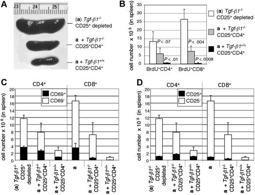 Figure 6. Cotransfer of Tgf-β1-/- CD4+CD25+ T cells partially suppressed the activation and proliferation of T lymphocytes. (A) Spleens of Rag2-/- recipients are shown. (B) Lymphocyte proliferation in spleen of Rag2-/- recipient mice was determined by BrdU uptake. The numbers of BrdU-positive CD4+ and CD8+ cells in spleens of Rag2-/- recipient mice are shown. (C) The numbers of CD69+ CD4+CD3+ and CD8+CD3+ cells in spleens of Rag2-/- recipient mice are shown. (D) The numbers of CD25+ CD4+CD3+ and CD8+CD3+ cells in spleens of Rag2-/- recipient mice are shown. Error bars (B-D) indicate SD.