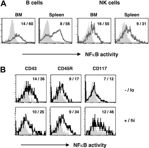 Figure 1. Steady-state NF-κB activation in BM and splenic NK cells. (A) NF-κB activation was assessed using κB-lacZ transgenic mice having the β-galactosidase gene driven by a κB responsive promoter.29,30 Increasing NF-κB activity is correlated with increasing fluorescence. NF-κB activity is shown on BM and splenic B (CD19+) and NK (CD3-NK1.1+) cells of κB-lacZ mice (bold lines) and nontransgenic littermate controls (shaded histograms). (B) Steady-state NF-κB activity in NK cell subsets. Splenic NK cells (CD3-NK1.1+) were electronically gated and analyzed for expression of CD43, CD45R, or CD117. NF-κB activity is shown on NK cells gated from κB-lacZ mice (bold lines) and nontransgenic littermate controls (shaded histograms) gated for -/lo versus +/hi expression of the indicated markers. Mean fluorescence intensities (MFIs) of cells are indicated (background levels in nontransgenic mice/levels in κB-lacZ mice).