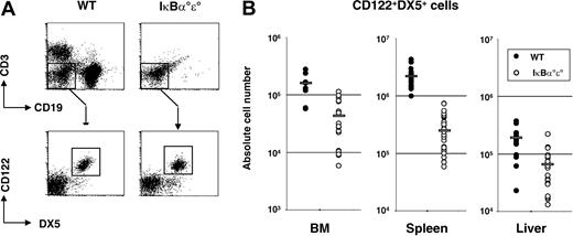 Figure 2. Lymphoid reconstitution in HSC chimeras. FL-derived HSCs were transferred into alymphoid mice (Rag°g°c) to generate hematopoietic chimeras as described in “Materials and methods.” (A) Flow cytometric analysis of splenocytes stained for B (CD19+) and T (CD3+) cells. NK cells (CD122+DX5+) were detected in the CD19-CD3- fraction. (B) Absolute numbers of NK cells (CD3-CD122+DX5+) in WT (•) and IκBα°ϵ° () chimeras. Each circle represents values obtained from a single mouse and a gray bar indicates the mean values. There is a significant decrease in BM, liver, and splenic NK cells (P < .001) in the absence of IκBα and IκBϵ compared with controls.