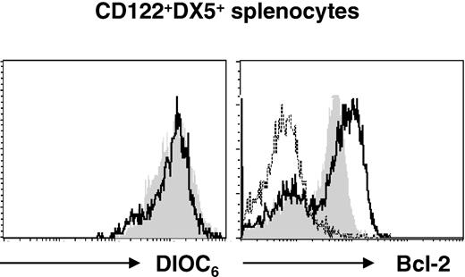 Figure 3. NK cells from IκBα°ϵ° chimeras have normal mitochondrial membrane potential but overexpress Bcl-2. (Left) Assessment of mitochondrial membrane potential using DIOC6 staining of splenic NK cells in WT (shaded histogram) and IκBα°ϵ° (bold line) chimeras. (Right) Bcl-2 expression on splenic NK cells from WT (shaded histograms) and IκBα°ϵ° (bold line) chimeras. Dotted line shows staining with isotype control antibody.