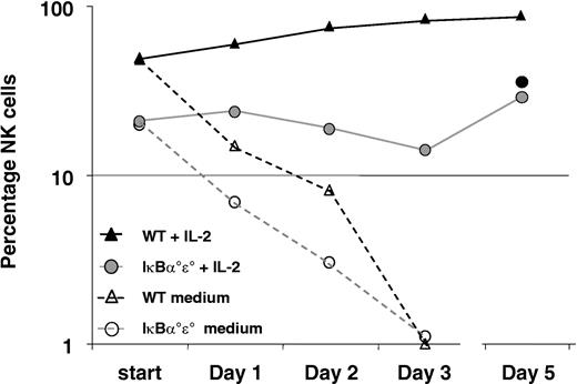 Figure 4. IL-2 or IL-15 maintain but do not expand NK cells from IκBα°ϵ° chimeras. Splenocytes (2 × 105) from WT (Rag° mice, triangles) or IκBα°ϵ° chimeras (circles) were cultured in complete medium with or without IL-2 or IL-15 and percentages of NK evaluated daily. NK cells were rapidly lost in cultures lacking exogenous cytokines (open symbols). IL-2 (or IL-15, •) maintained but did not expand IκBα°ϵ° NK cells (absolute NK cell number was 27 000 on day 5). WT NK cells proliferated vigorously over the same time period (NK cell number was 8 × 105 at day 5).