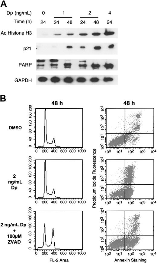 Figure 2. Immunoblot analysis of depsipeptide-treated HUT78 cells. (A) HUT78 cells were treated for 24 to 48 hours with 0, 1, 2, or 4 ng/mL depsipeptide, as indicated. Whole cell lysates were prepared and 7 μg/mL proteins were separated by PAGE. Immunoblots were performed as described in “Materials and methods” using antibodies against acetylated histone H3, demonstrating the direct effect of depsipeptide on the cells; p21, indicating that depsipeptide is able to induce gene expression, as previously described; and PARP, to demonstrate the apoptotic effect of depsipeptide. GAPDH confirms equivalent loading of proteins. (B) HUT78 cells were pretreated with caspase inhibitor z-VAD-fmk (100 μM) or equal amount of DMSO as control for 1 hour prior to the addition of 2 ng/mL depsipeptide. Cells were exposed to both agents together for an additional 48 hours. Cells cycle arrest and annexin V analysis was performed as described in “Materials and methods.”