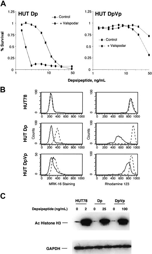 Figure 5. Cytotoxicity assay, MRK-16 staining, rhodamine 123 efflux, and molecular response to depsipeptide of resistant HUT78 cells. HUT78 cells were selected for resistance to depsipeptide in the absence (HUT78Dp) or presence of 5 μg/mL of verapamil (HUT78DpVp). For these experiments, cells were first grown out of depsipeptide and verapamil for 2 weeks. (A) Cells were treated with depsipeptide for 3 days with or without 1 μg/mL of valspodar, an inhibitor of Pgp, and cytotoxicity assays were performed. Data are shown on a logarithmic scale. (B) The panels on the left show the results of cells stained with the Pgp-specific antibody, MRK-16 (dashed line), or with an isotype-specific antibody as a control (solid line). In the right panel, Pgp function was assayed by the ability of the cells to efflux rhodamine. Cells were first incubated with rhodamine 123 and then incubated for 1 hour in the absence of rhodamine, both steps in the absence (solid line) or presence (dashed line) of valspodar. (C) HUT78, HUT78Dp, and HUT78DpVp cells were treated overnight with the indicated amount of depsipeptide. Whole cell lysates were prepared, and 10 μg/mL of proteins were separated by PAGE. Immunoblots were performed using antibodies against acetylated histone H3, demonstrating histone deacetylase activity of the individual HDIs, and GAPDH, to confirm equivalent loading of proteins.