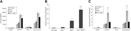 Figure 3. Clonogenic assays of liver and peripheral blood reveal differences between SHIP-/- and Pten+/-SHIP-/- myeloid progenitors. (A) Splenocytes plated in duplicate revealed no differences in splenic CFUs between SHIP-/- and Pten+/-SHIP-/-, but they did show an increase in the granulocyte/macrophage lineages over wild-type and Pten+/-cells. (B) Liver cells demonstrated a significant increase in total CFUs (predominantly granulocytic and macrophage) in cells from Pten+/-SHIP-/- mice. (C) Colony-forming assays performed on peripheral blood revealed a statistically significant increase in SHIP-/- CFUs that was not seen in Pten+/-SHIP-/- peripheral blood samples. ***P < .05 compared with all genotypes; **P < .01 compared with wild-type and Pten+/- only. *P < .025 compared with wild-type alone. Data were compiled from at least 3 mice per genotype plus or minus SEM of the number of colonies.