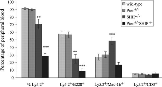 Figure 5. Ability of Pten+/-SHIP-/- BM cells to repopulate irradiated recipients is severely compromised. Flow cytometry analysis of peripheral blood samples obtained from recipients of BM cells from the various donor genotypes is shown. Cells expressing Ly5.2+, Ly5.2+ and B220+; Ly5.2+ and Mac1+; and Ly5.2+ and CD3+ are represented as a percentage of total peripheral blood leukocyte populations. The data were derived from 2 donors of each genotype; CD3 phenotyping was performed on 5 to 9 recipients/genotype, and B220 and Mac1 analysis on 9 to 12 recipients/genotype ± SEM of percentages. ***P < .05 or less compared with all genotypes, **P ≤ .01 or less compared with wild-type and Pten+/-.