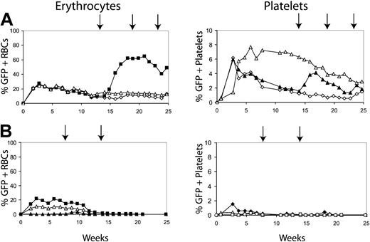 Figure 3. Determining the number of transduced cells required to establish long-term erythrocyte chimerism. Transduced 5-FU-treated marrow cells were injected into mice conditioned with 400 cGy at 2 cell doses, 4 million cells (A) and 2 million cells (B). The percentages of GFP-positive erythrocytes and GFP-positive platelets are displayed. Arrows represent treatment with AP20187 at 10 μg/kg for 3 days by intraperitoneal (IP) injection. Filled symbols represent the GFP-positive erythrocytes and platelets of mice that received AP20187. Open symbols represent mice that did not receive injections of CID. Results indicated that only mice that received 4 million transplanted cells maintained GFP-positive cells and could respond to the CIDs.
