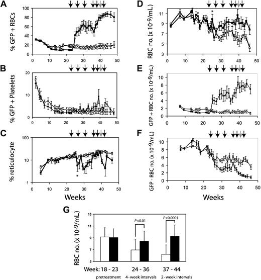Figure 4. CID administration preferentially expands genetically modified erythrocytes. Ten CBA-Pk-1slc/Pk-1slc mice were conditioned with 400 cGy radiation and then infused with 5 million F36VmplGFP-transduced CBA/N marrow cells. The mice were observed for 22 weeks, at which time they were paired based on RBC number and percentage of reticulocytes. The cohort with lower GFP expression (8.6% ± 1.4% vs 17.6% ± 8.1%) was treated with AP20187, 10 μg/kg by IP injection every day for 5 days (▪). Initially, CIDs were administered every 4 weeks. Frequency was increased to every 2 weeks at 34 weeks after transplantation. Each arrow represents a course of CID. Five control mice received injections of the carrier compound at a similar schedule (□). The 40-week injection was given to only 3 of the 5 CID-treated mice because 2 of the mice had more than 13 × 109 RBCs/mL. Panel A demonstrates that the expansion of GFP-positive RBCs is dependent on the administration of CID. GFP-positive platelets are shown in panel B. Effects of CID on reticulocytes are shown in panel C. Panel D demonstrates the differences in the RBC numbers between treated and untreated animals. The absolute numbers of GFP-positive and GFP-negative RBCs are shown in panels E and F, respectively. Panel F shows the decrease in nontransduced RBCs that occurs coincident with CID administration relative to the nontreated control croup. Panel G demonstrates the separation in the 2 groups during the pretreatment phase, the period when the mice were treated every 4 weeks, and the period when the animals were treated every other week. Error bars indicate standard error of the mean, but in panel G they show 1 SD. Significance of the asterisks in panels C and D is discussed in “Results.”