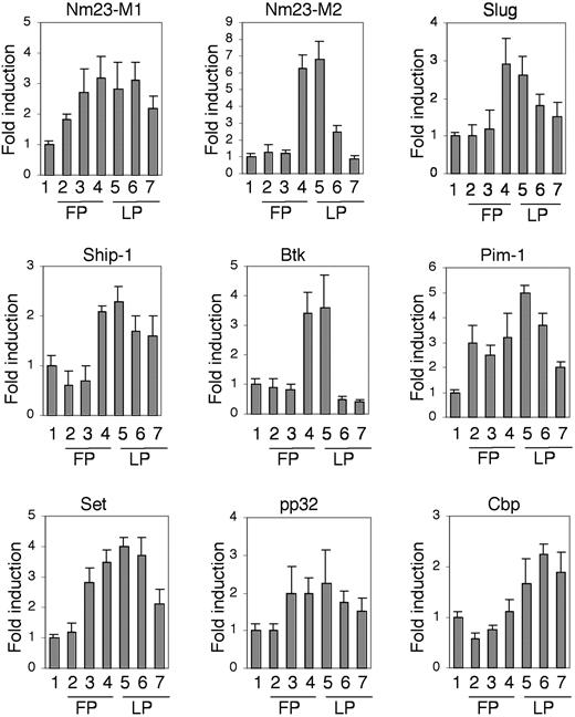 Figure 3. Genes expressed in Flk-1-positive endothelial precursors are transiently up-regulated during angiogenesis in vivo. Time-course analysis of transcripts in hormonally induced ovaries. Vertical bars indicate the fold induction of each transcript as indicated from RNA collected from untreated (1) or hormonally induced ovaries during the follicular phase (FP) at 5 hours (2), 20 hours (3), and 44 hours (4) after pregnant mare's serum gonadotropin (PMS-G) stimulation and luteic phase (LP) at 8 hours (5), 16 hours (6), and 32 hours (7) after human chorionic gonadotropin (hCG) stimulation. Super ovulation in mice was induced as previously described,21 and the induction was quantified by real time RT-PCR and normalized on GAPDH expression. The data shown are the results of 3 independent experiments.
